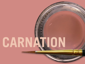 MiYO_pink_Carnation