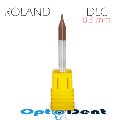 0.3 dlc roland